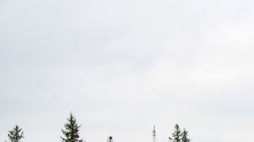 shutterstock_363246026