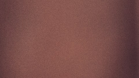 shutterstock_639794776