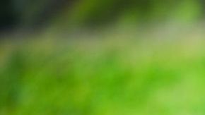 Hay cosas básicas con las que se pueden evitar estos accidentes.