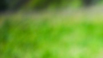 Hay cosas básicas con las que se pueden evitar estos accidentes.