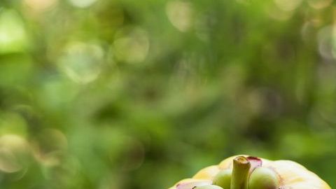 shutterstock_711654871