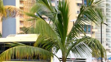 shutterstock_779057119