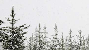 Tormenta de nieve