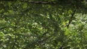 South End Avenue, Battery Park