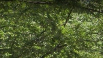 South End Avenue, Battery Park