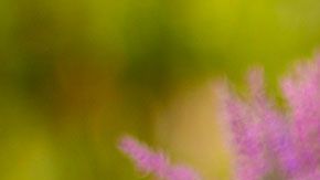 Ahora tendrás que gastar más para tener algunos de los productos que antes obtenías por menos.