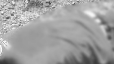 Una familia fue baleada por un comando en su domicilio.