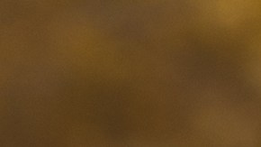 Los testamentos a veces son motivo de disputa en las familias.