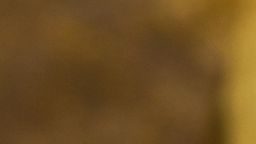 Los testamentos a veces son motivo de disputa en las familias.