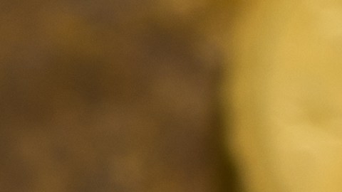 Los testamentos a veces son motivo de disputa en las familias.