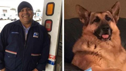 La increíble amistad de un cartero y un perro.