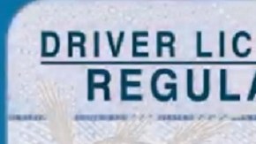 La nueva licencia tiene una estrella encerrada en un círculo en la parte superior derecha. / IMAGEN: TSA.GOV