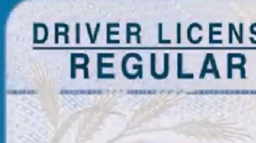 La nueva licencia tiene una estrella encerrada en un círculo en la parte superior derecha. / IMAGEN: TSA.GOV