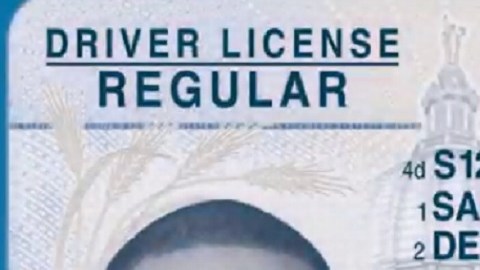 La nueva licencia tiene una estrella encerrada en un círculo en la parte superior derecha. / IMAGEN: TSA.GOV
