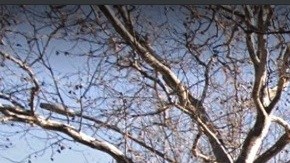 Harding Expressway, una de las 65 sedes