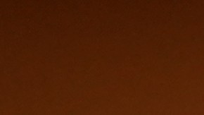 Vicente García hurgo en las raíces del merengue para su nuevo álbum.