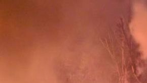 Incendios forestales