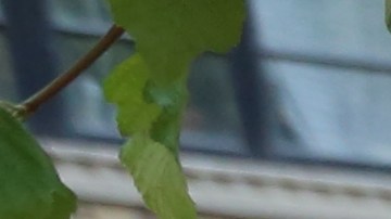 Se calcula que participarán más de 3 millones de personas en las actividades del World Pride NY 2019