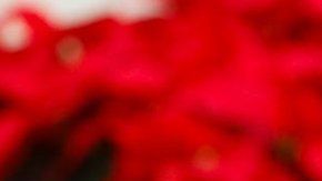 La guerra comercial EEUU-China ya toca a América Latina.