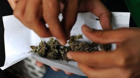 Después de la legalización de la marihuana en Colorado, el número de accidentes automovilísticos aumentó 10% en ese estado, según los resultados de la investigación.