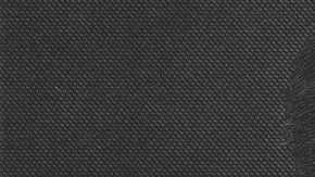 Aaron Montgomery Ward, el padre de las ventas por correo.