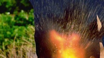 Los traumas dejan huellas que se trasmiten a los hijos.