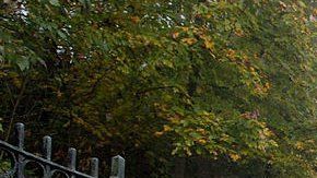 106774002_gettyimages-51441824