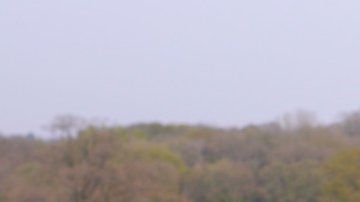 Al comienzo, "Jane" consumía cocaína dos veces a la semana.