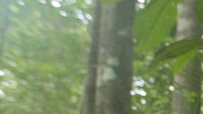 El sargento Vadim lidera una misión de reconocimiento.