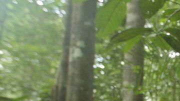 El sargento Vadim lidera una misión de reconocimiento.