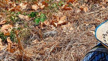 La Unión Europea desarrolla una agricultura sostenible.