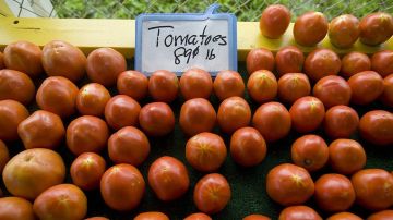 Importadores de tomates en EEUU dicen que el precio subirá.