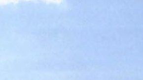 Se cree que el Wise Honest está en operaciones desde 1989.