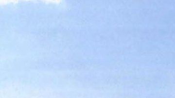 Se cree que el Wise Honest está en operaciones desde 1989.