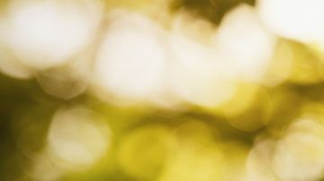 Las consecuencias pueden ser desastrosas.