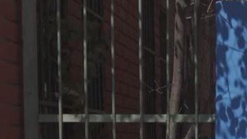 Es la primera escuela para alumnos transgénero.