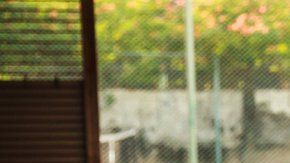 107031250_gettyimages-924727534-1