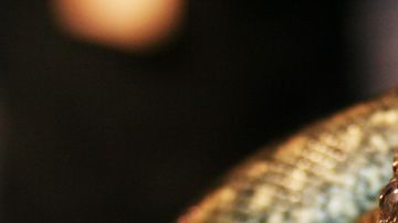 Una de las anacondas producto de un nacimiento virgen.