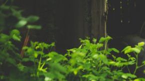 Permaneció 53 años abandonado