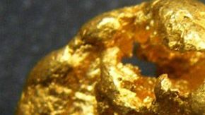 Roca de oro que encontró una familia.