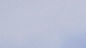 El grupo automovilístico alemán Volkswagen ha llegado a un acuerdo con las autoridades estadounidenses e indemnizará con 5,000 dólares (4,400 euros) a cada cliente con un vehículo con un motor manipulado.