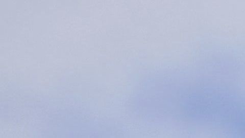 El grupo automovilístico alemán Volkswagen ha llegado a un acuerdo con las autoridades estadounidenses e indemnizará con 5,000 dólares (4,400 euros) a cada cliente con un vehículo con un motor manipulado.
