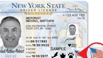 Licencia de manejar en el estado Nueva York.