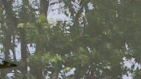 El portero español del FC Porto, Iker Casillas, y su mujer Sara Carbonero afuera del hospital de Oporto, Portugal.