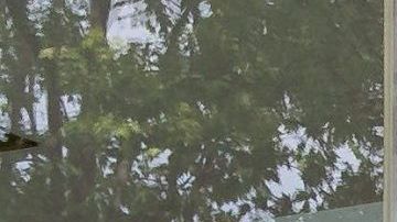 El portero español del FC Porto, Iker Casillas, y su mujer Sara Carbonero afuera del hospital de Oporto, Portugal.