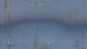 15,500 menores se presentaron ante las autoridades migratorias mexicanas entre enero y abril de 2019.