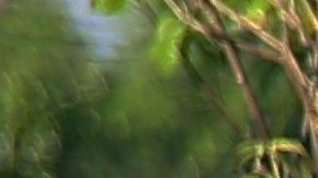 Todas las víctimas son trabajadores de la prisión.