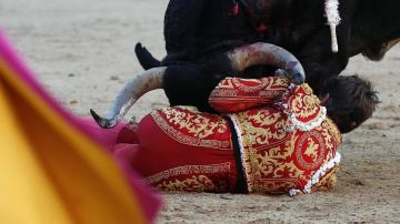 Manuel Escribano sufre una cogida durante una corrida de la Feria de San Isidro en la plaza de toros de Las Ventas de Madrid.