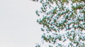 El festival incluirá muestras de música y danza.