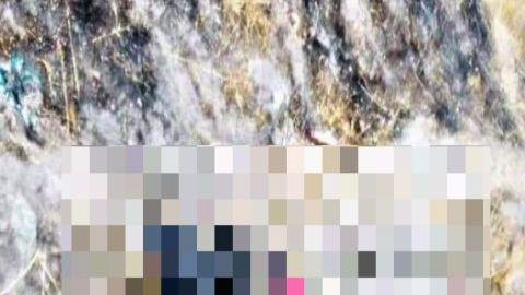 A integrante de Barrio 18 lo decapitaron, cortaron la mano y lo quemaron an vivo